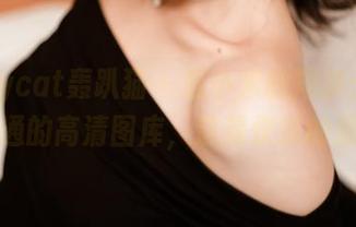 partycat轰趴猫 – 赵小米的短裤：这不是普通的高清图库，这是快乐的源泉！