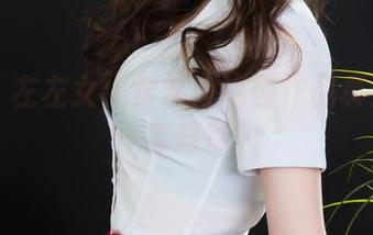 丽柜 – 左左女仆合集：这些作品真是让人一言难尽！