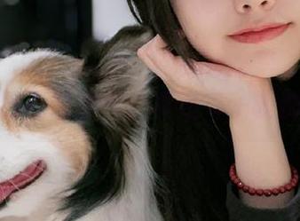 樱群的纱在线图片，真是每一帧都有温度