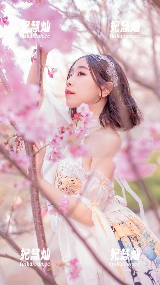 穆零Mu0 穆零Mu0的散图:看!cos和照片的交响曲,旋律在心间跃动!
